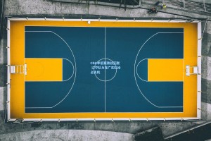 彩经网-CBA季后赛激战正酣 辽宁队力克广东队抢占先机