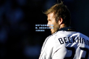 彩经网|体育产业迎来黄金发展期，政策支持与市场潜力双轮驱动