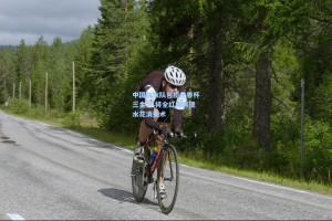 彩经网彩票走势图大全_中国跳水队包揽世界杯三金 小将全红婵再现水花消失术