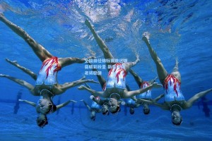 彩经网-全国田径锦标赛跳远项目精彩纷呈 新星闪耀老将稳健