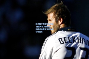 【彩经网彩票走势图大全】枪手医疗天团列队迎新 兽医办注入新血液 首席运动医学专家加盟引领变革