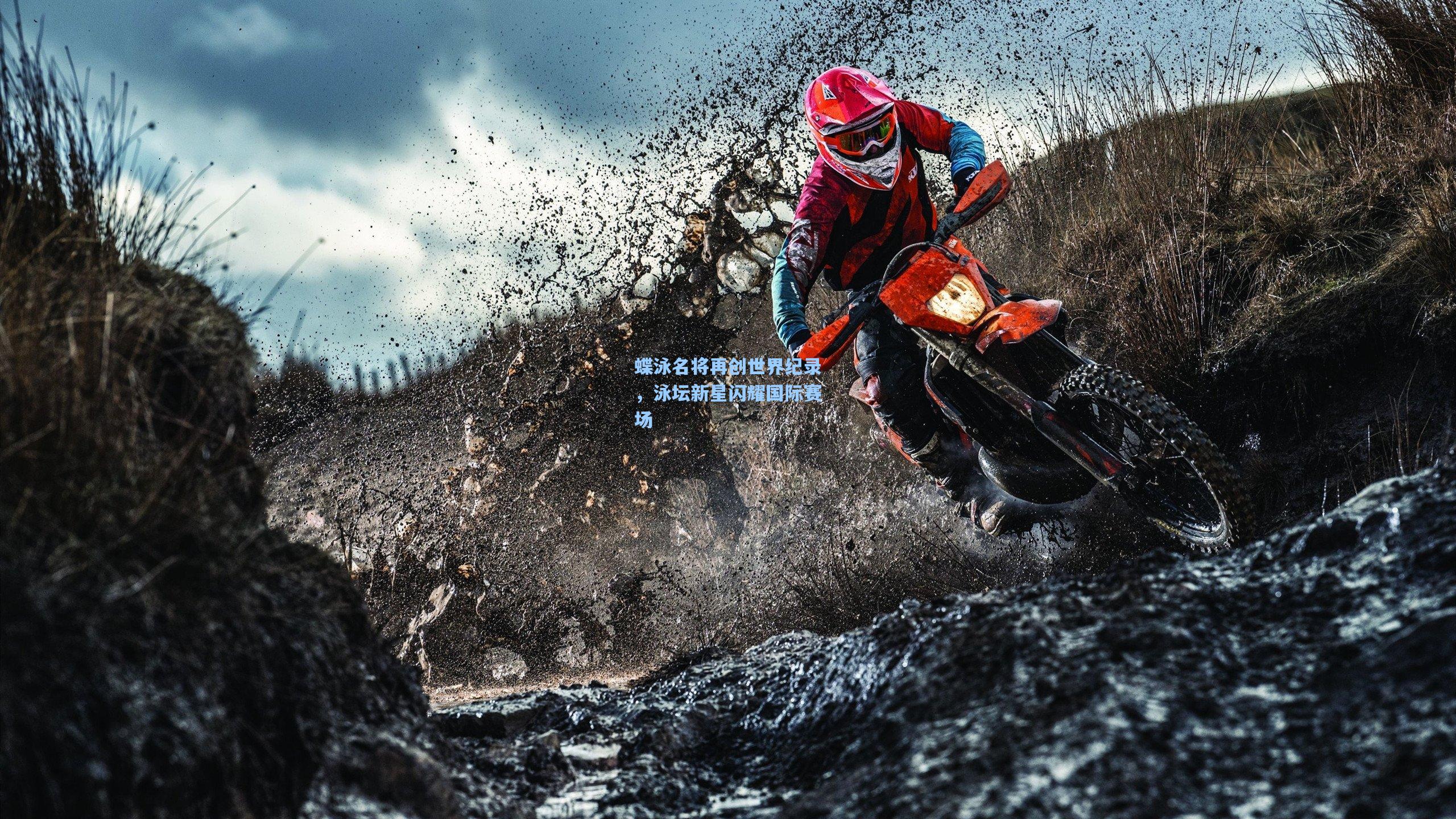 蝶泳名将再创世界纪录，泳坛新星闪耀国际赛场