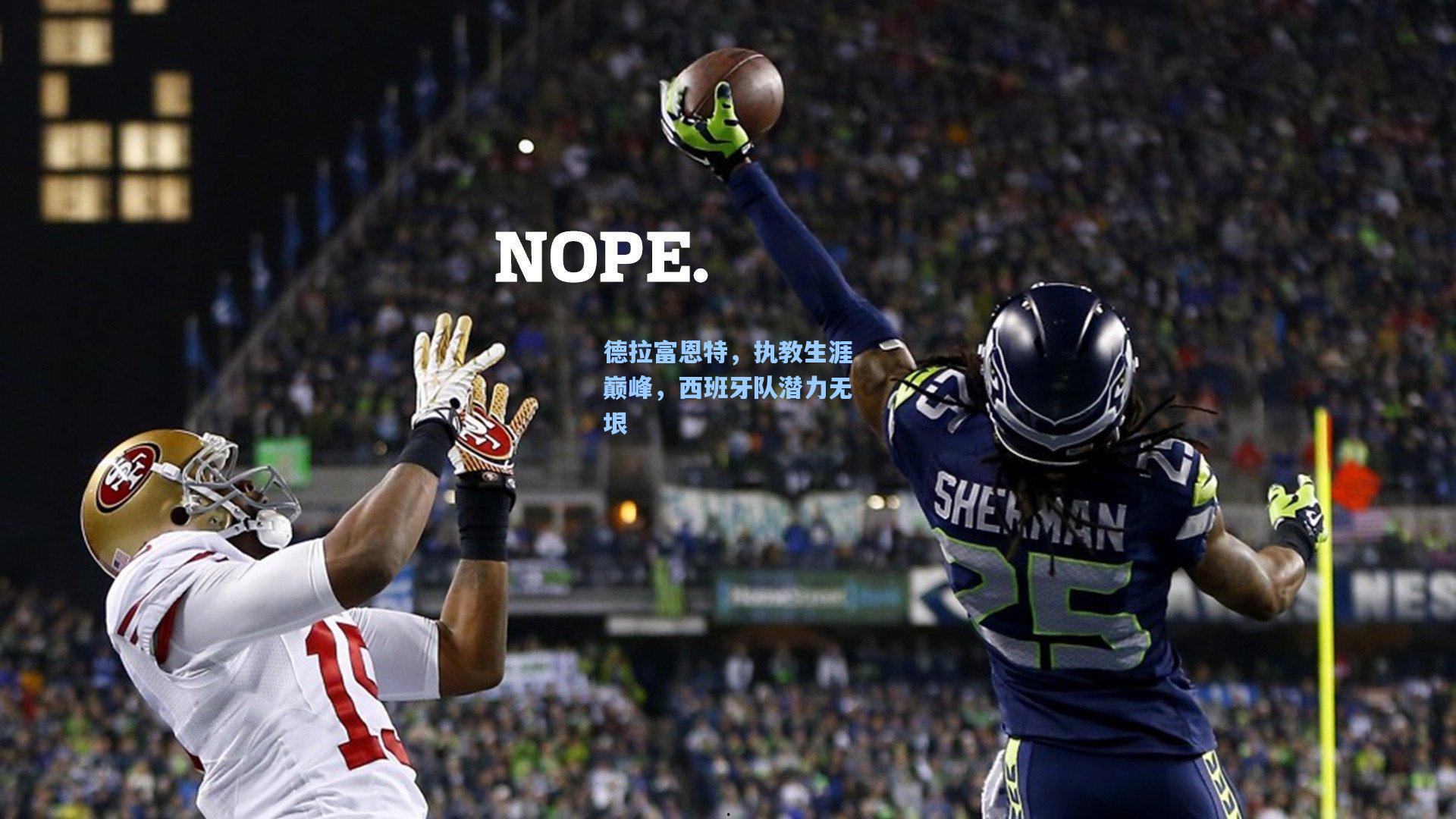 德拉富恩特,执教生涯巅峰,西班牙队潜力无垠